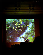 海野氏講演
