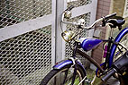 Quinon 50mmF2